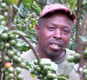 Coffee farmer