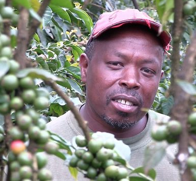 Video: Ecom working with smallholder farmers in Kenya.