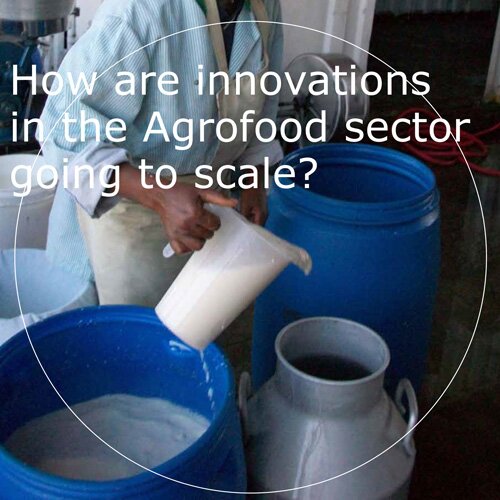 How are innovations in the Agrofood sector going to scale?