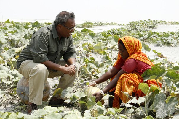 Case study Bangladesh, integrating smallholders