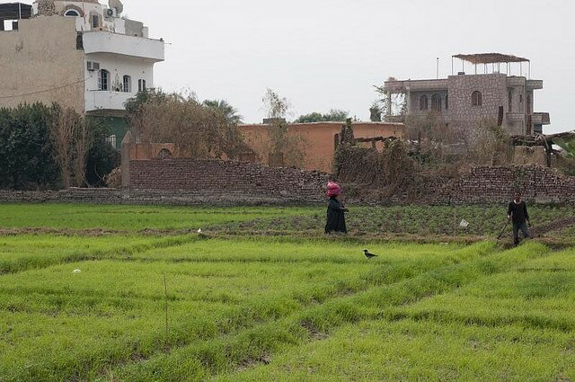 Case study Egypt, land reclamation