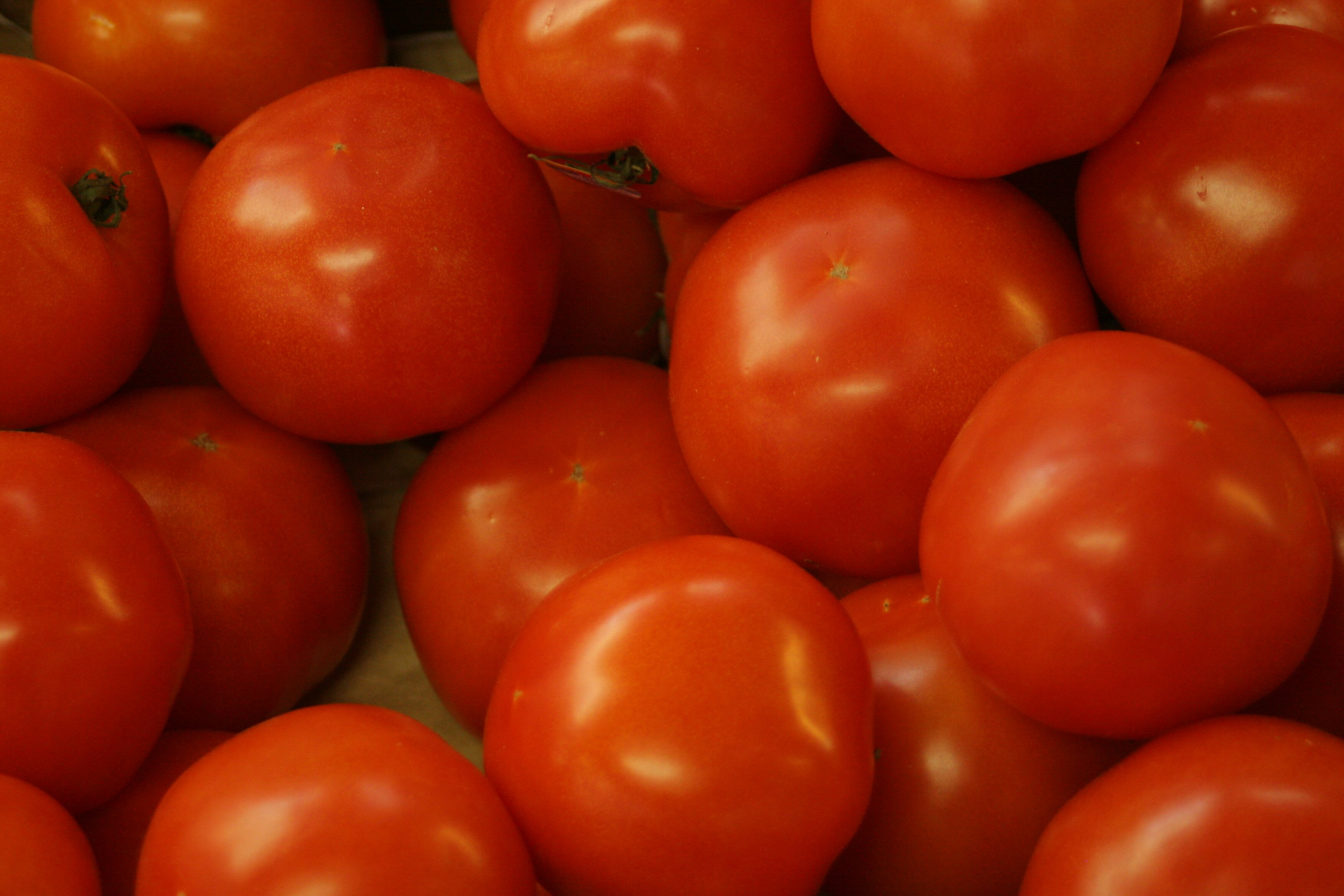 Case study Senegal, tomatoes